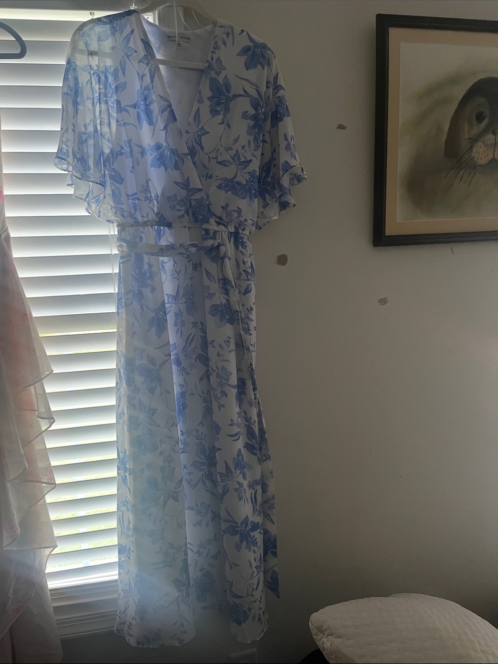 Sandra Darren White Maxi Dress with Blue Floral Print